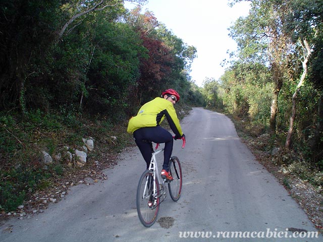 Estrecha pista asfaltada en los primeros Km