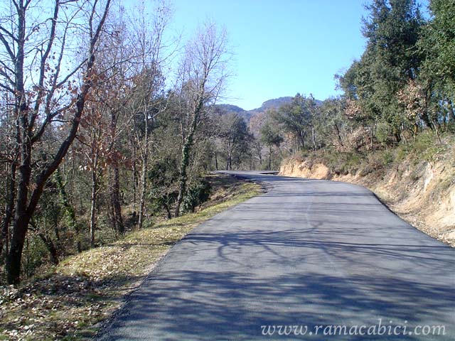 Camino del Coll de Gomara